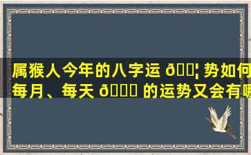 属猴人今年的八字运 🐦 势如何每月、每天 🐈 的运势又会有哪些变化